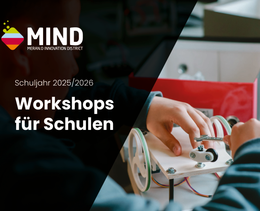 Workshops Schulen 25 26